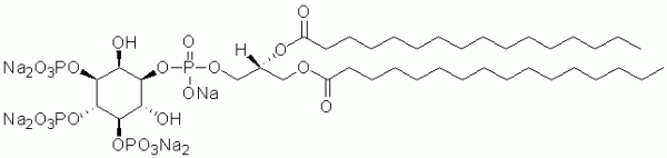 PI(3,4,5)P3 diC16    CAS:165689-82-7