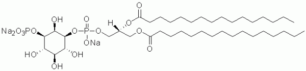 PI(3)P diC16     CAS:165689-81-6