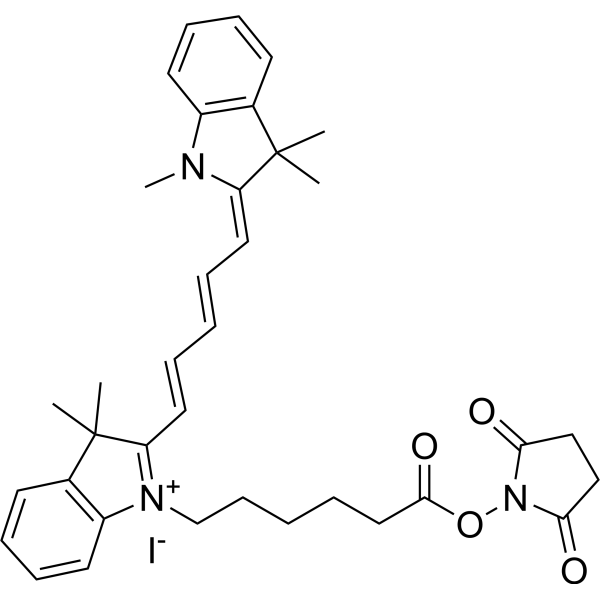 Cyanine5 NHS ester iodide