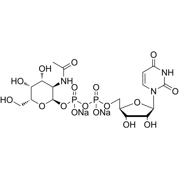 UDP-GalNAc disodium