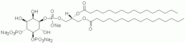 PI(5)P diC16    CAS:219527-75-8