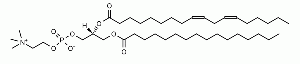PLPC (16:0/18:2 PC)   CAS:17708-90-6