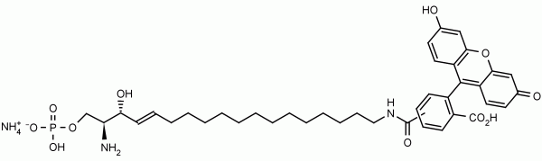 S1P Fluorescein