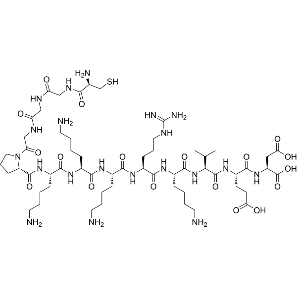 SV40 large T antigen NLS