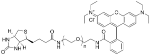 Rhodamine-PEG-Biotin,MW 5K 