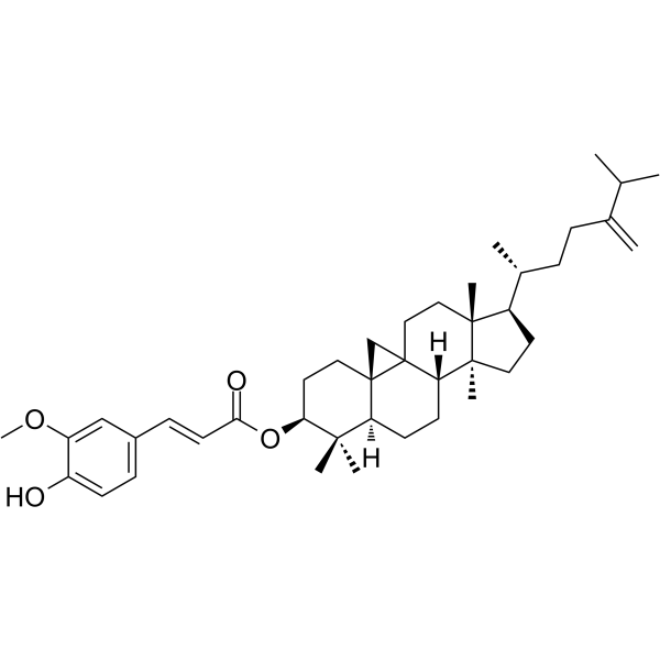 24-Methylenecycloartanyl ferulate CAS No.469-36-3