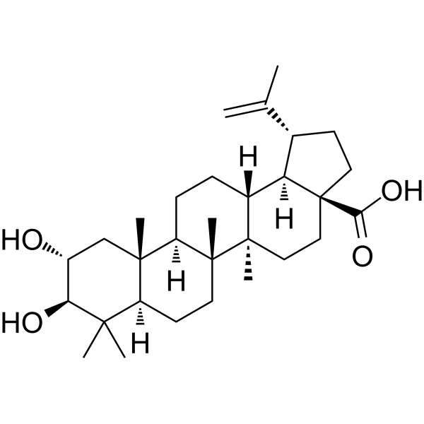 Alphitolic acid CAS No.19533-92-7