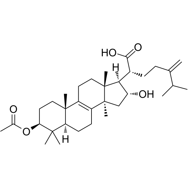 Pachymic acid CAS No.29070-92-6