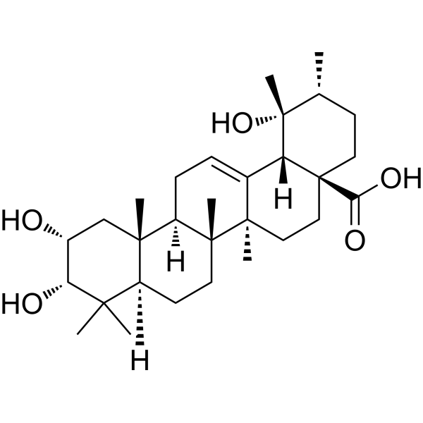 Euscaphic acid CAS No.53155-25-2