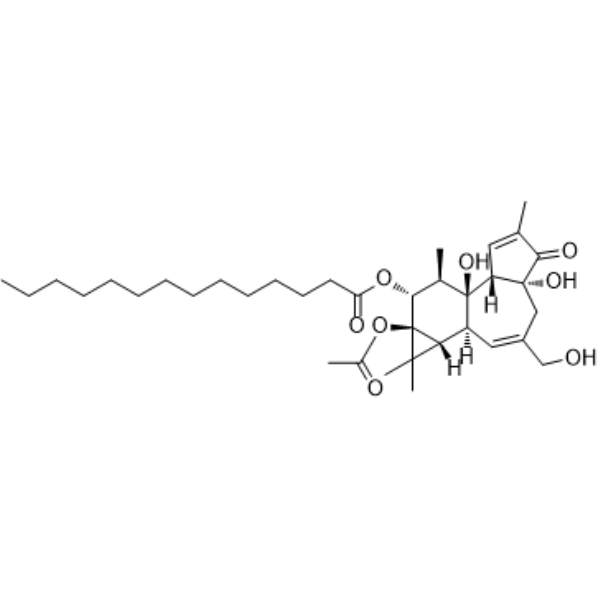 Phorbol 12-myristate 13-acetate CAS No.16561-29-8