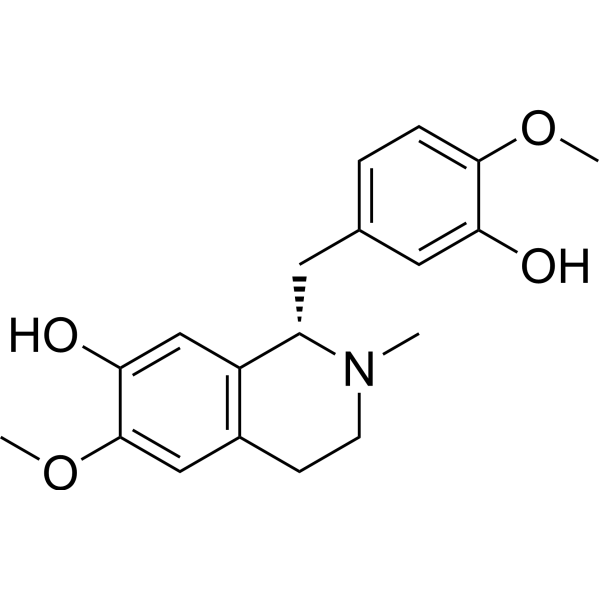 Reticuline CAS No.485-19-8 - Ruixibiotech