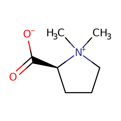 Stachydrine CAS No.471-87-4