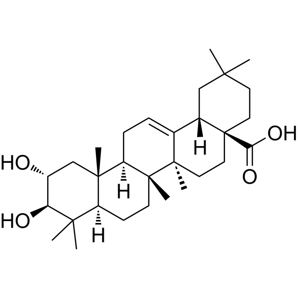 Maslinic acid CAS No.4373-41-5