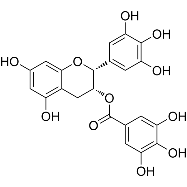 (-)-Epigallocatechin Gallate (Standard) CAS No.989-51-5