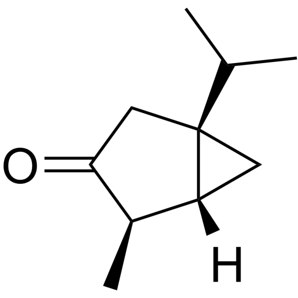 a-Thujone CAS No.546-80-5