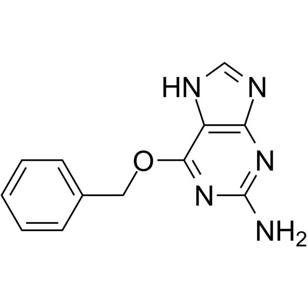 O6-Benzylguanine CAS No.19916-73-5