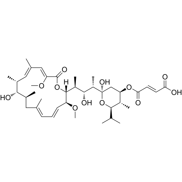 Bafilomycin C1 CAS No.88979-61-7