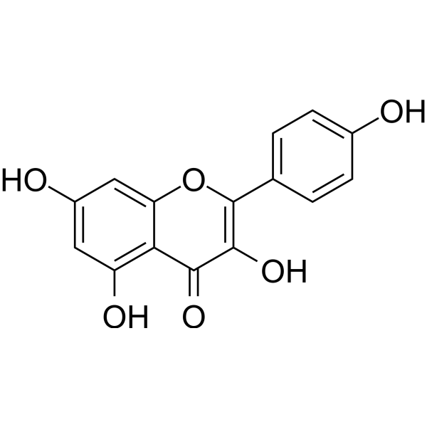 Kaempferol CAS No.520-18-3