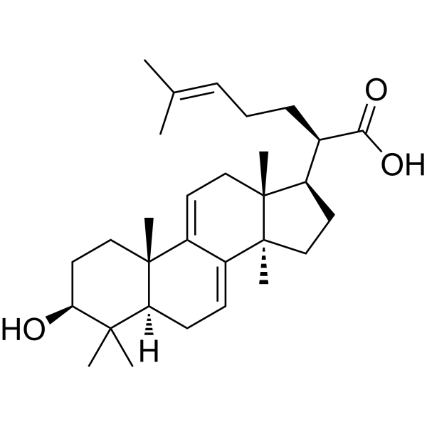 3-Dehydrotrametenolic acid CAS No.29220-16-4