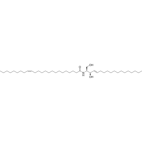 C24:1-Ceramide CAS No.54164-50-0