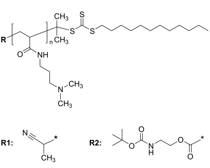 POLY(N,N-DIMETHYLAMINOPROPYL ACRYLAMIDE)