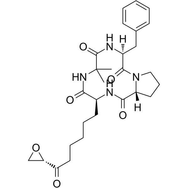 Chlamydocin CAS No.53342-16-8