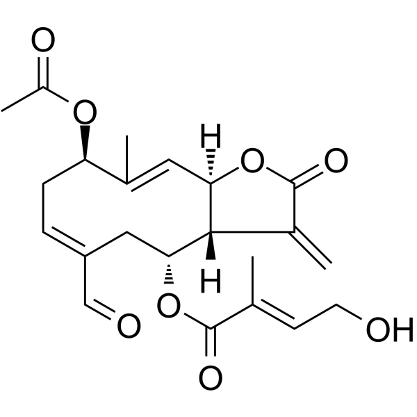 Eupalinolide O CAS No.2170228-67-6