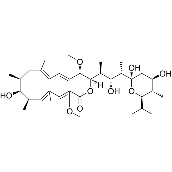 Bafilomycin A1 CAS No.88899-55-2