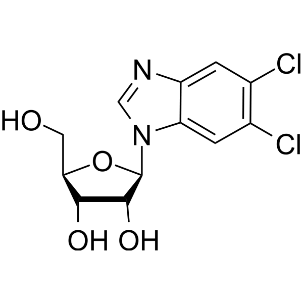 5,6-Dichlorobenzimidazole riboside CAS No.53-85-0