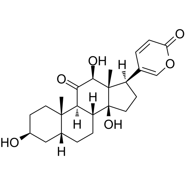 Bufarenogin CAS No.17008-65-0