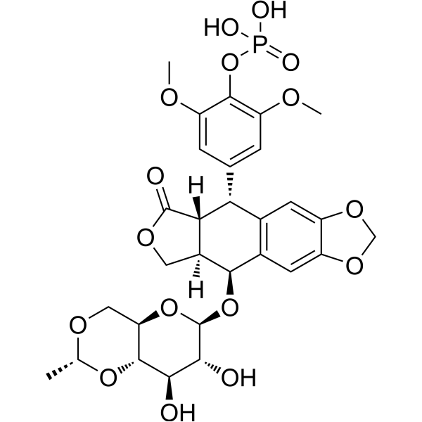 Etoposide phosphate CAS No.117091-64-2