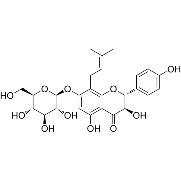 Phellamurin CAS No.52589-11-4