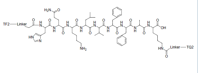TF2-HQKLVFFAK-TQ2 