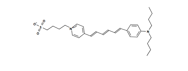 RH 237