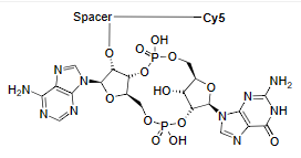 2,3-cGAMP-Cy5 conjugate