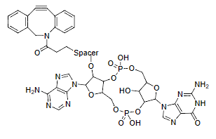 2-3-cGAMP-DBCO conjugate