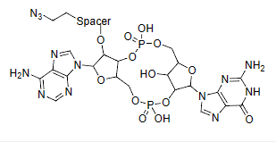 2,3-cGAMP-azide