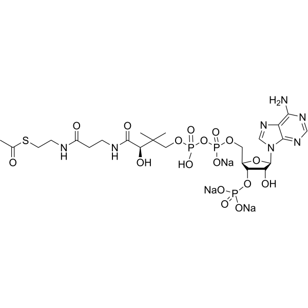 Acetyl Coenzyme A trisodium CAS No.102029-73-2