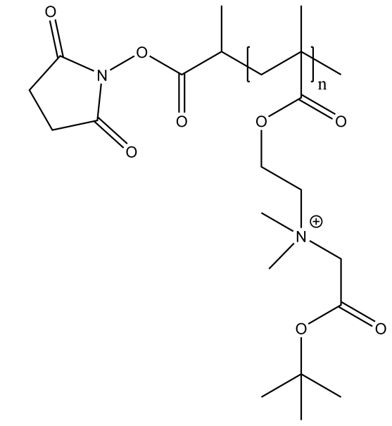 POLY(2-TERT-BUTOXY-N-(2-(METHACRYLOYLOXY)ETHYL)-N,N-DIMETHYL-2-OXOETHANAMINIUM), Α-N-HYDROXYSUCCINIM