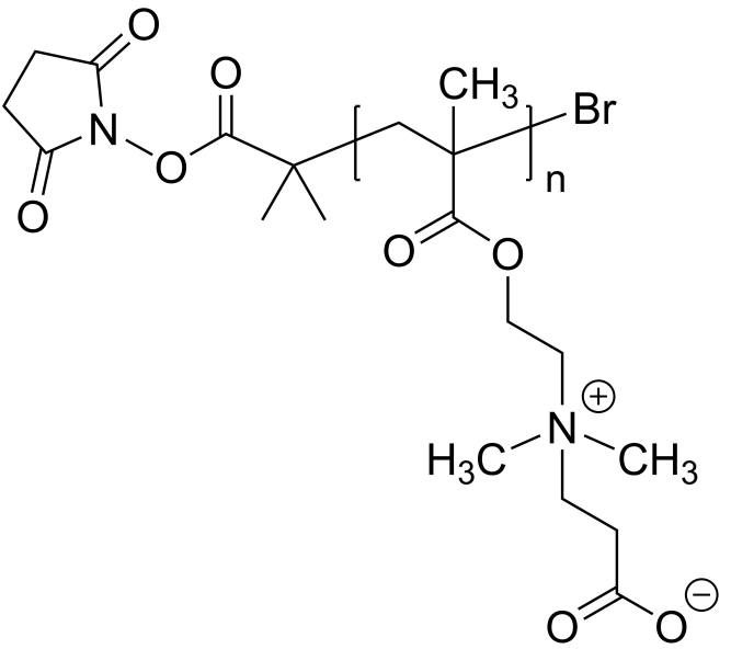 Poly(carboxybetaine methacrylate)