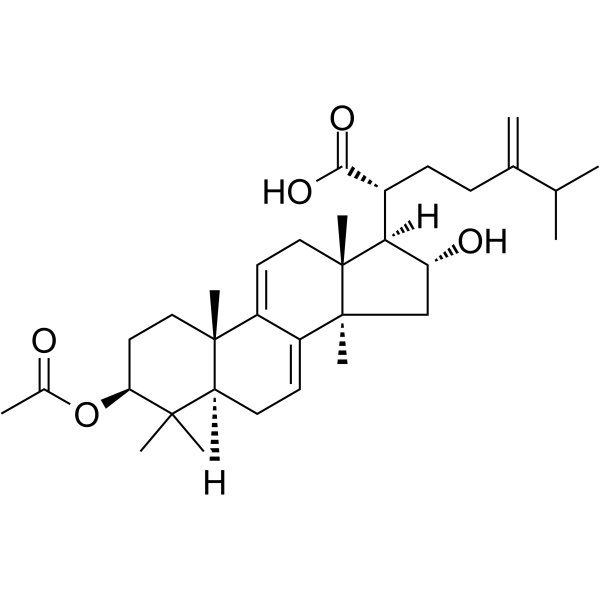 Dehydropachymic acid CAS No.77012-31-8