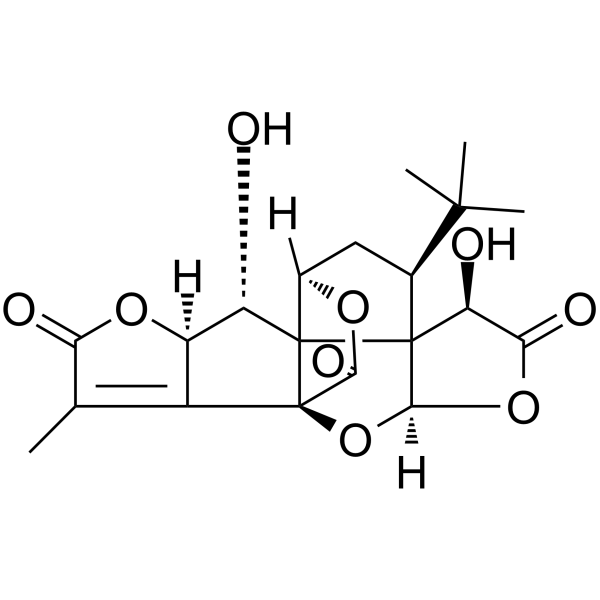 Ginkgolide K CAS No.153355-70-5