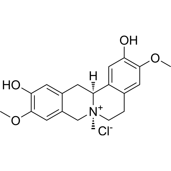 Phellodendrine chloride CAS No.104112-82-5