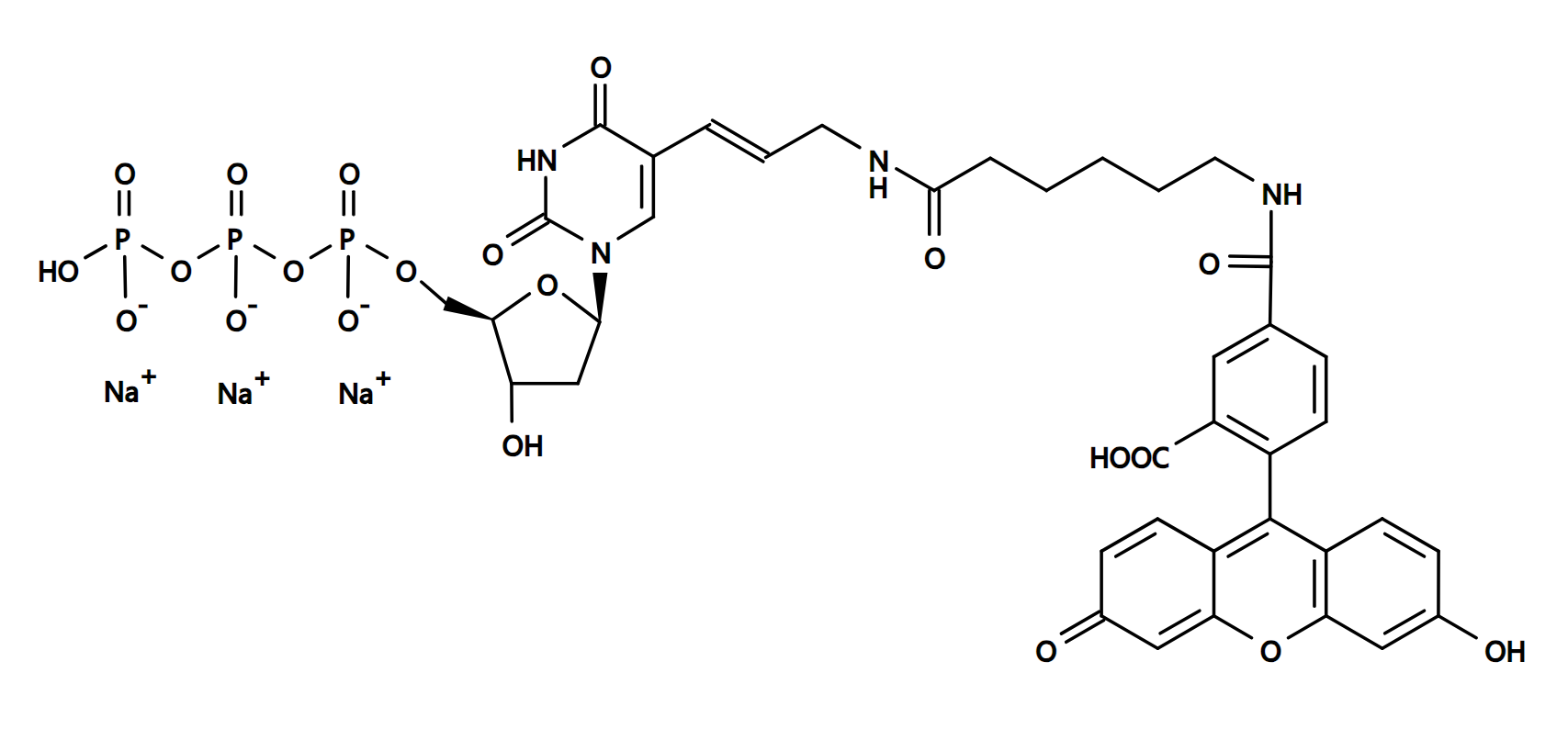 Fluorescein-12-dUTP,CAS214154-36-6