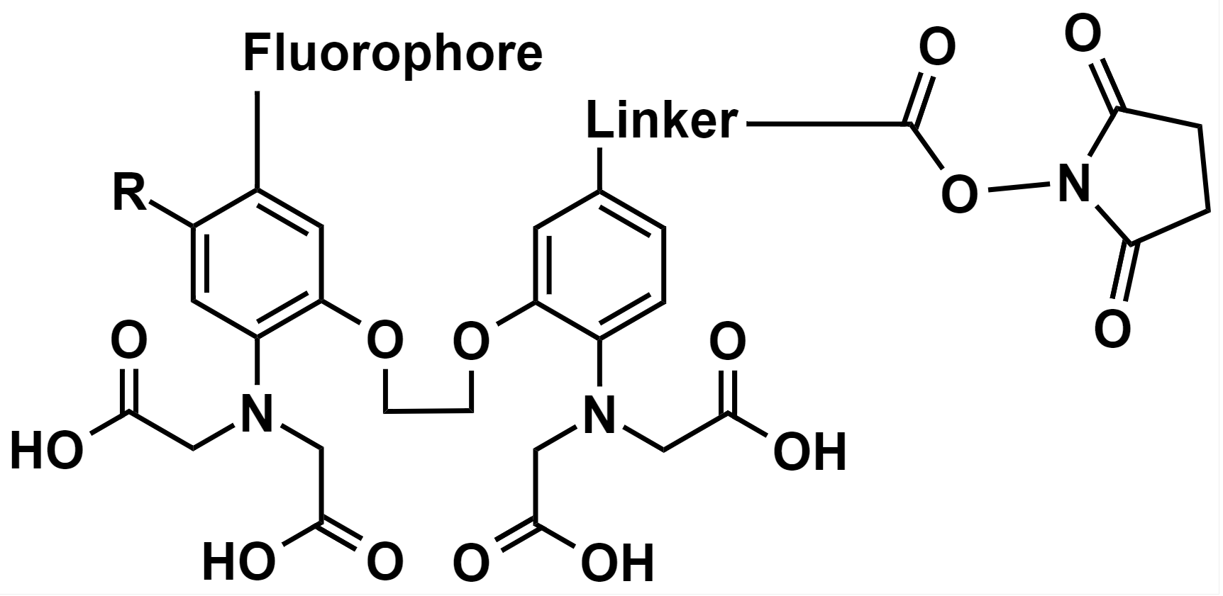 Cal-520® NHS Ester