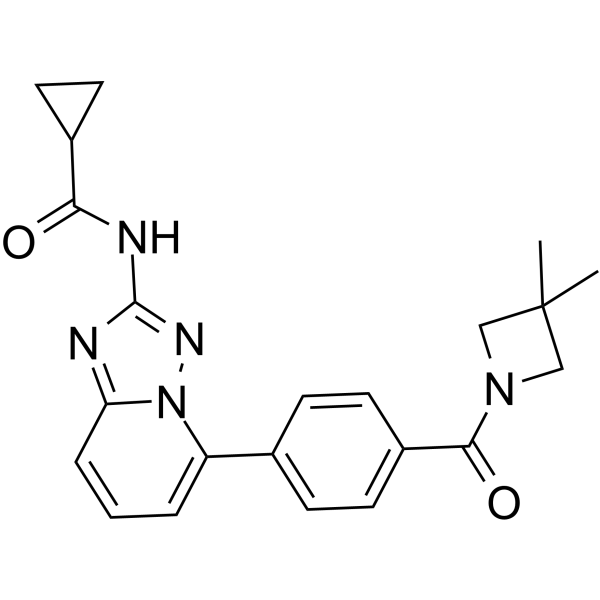 Solcitinib CAS No.1206163-45-2