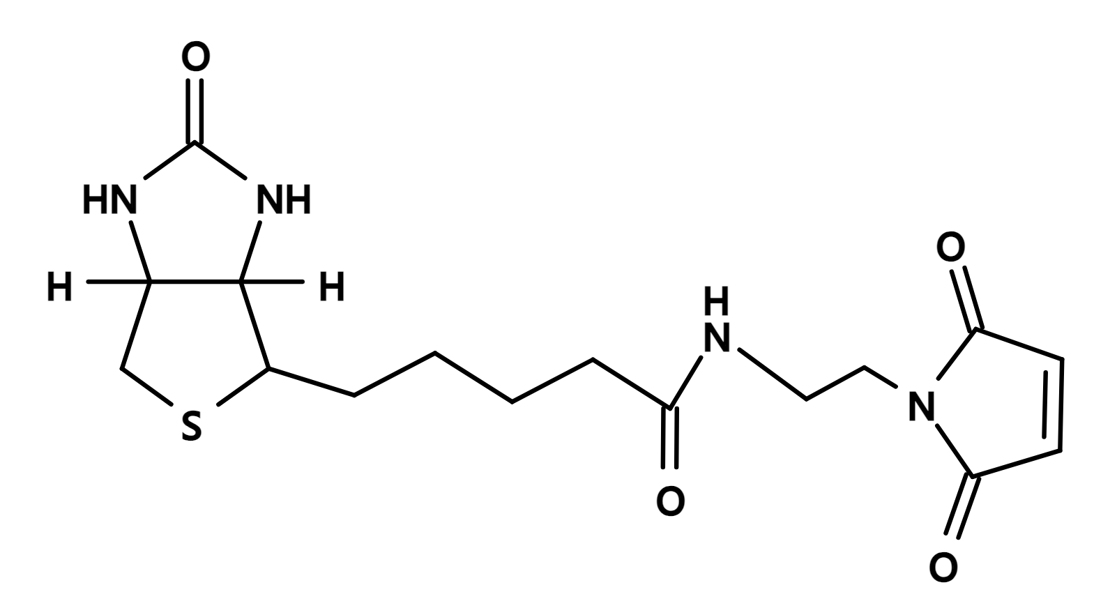 Biotin C2 maleimide,CAS 139554-72-6