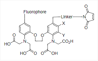 Cal-520L™ maleimide 