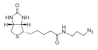 Biotin C2 Azide 