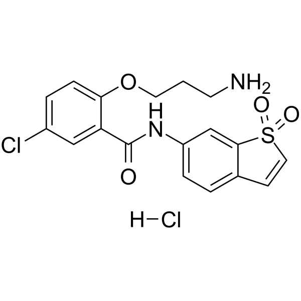 HJC0416 hydrochloride CAS No.2415263-08-8